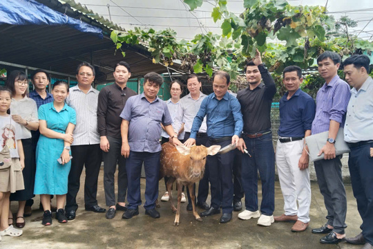 Đoàn công tác xã Canh Vinh (Gia Lai) học tập kinh nghiệm phát triển kinh tế, xây dựng nông thôn mới tại Tứ Mỹ