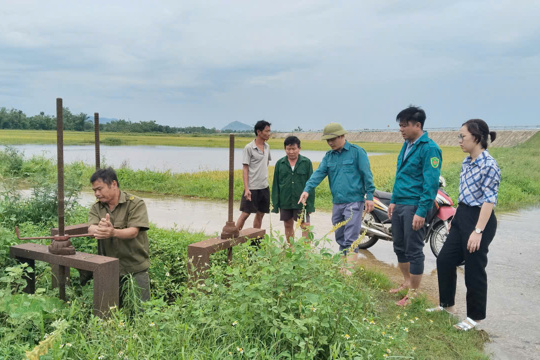 Tứ Mỹ chủ động tiêu thoát nước, bảo vệ lúa Hè Thu cuối vụ