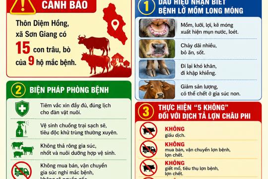 Xã Tứ Mỹ tăng cường các biện pháp phòng, chống bệnh Lở mồm long móng và Dịch tả lợn Châu Phi 