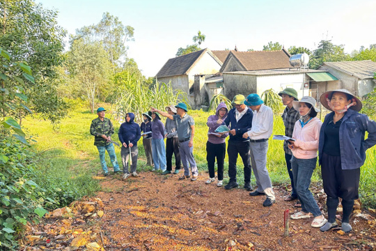 Tứ Mỹ: Kiểm đếm cây trồng, tài sản trên đất phục vụ giải phóng mặt bằng dự án khai thác khoáng sản
